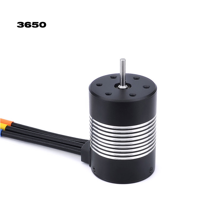 3650 Brushless Motor