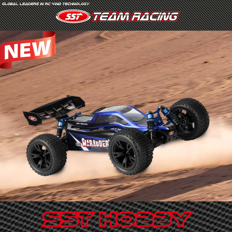 1:10XL Scale 4WD BL Buggy