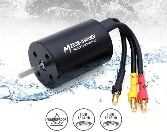 2838 4P Brushless Motor