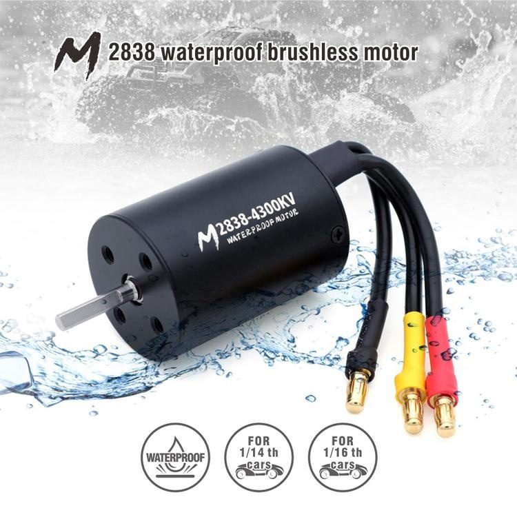 2838 4P Brushless Motor