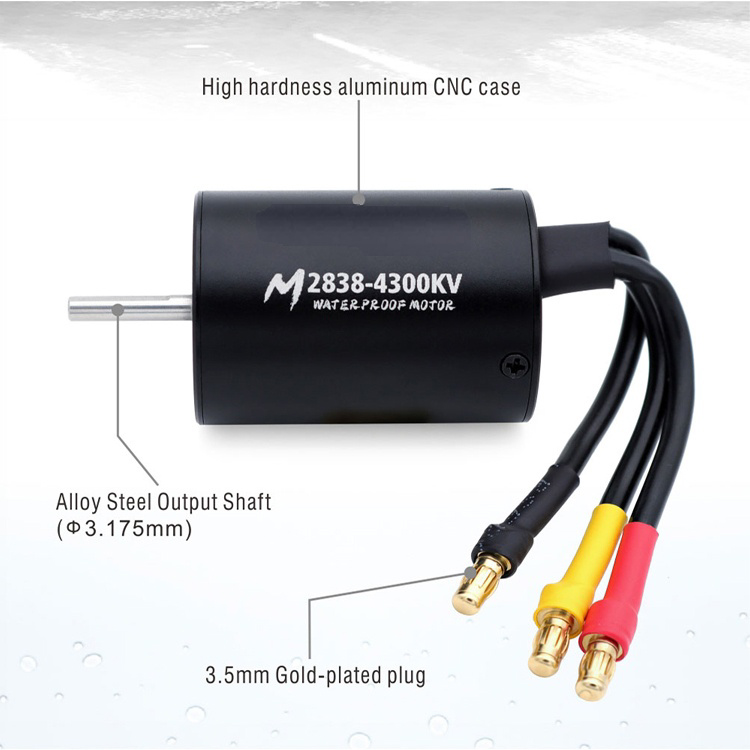 2838 4P Brushless Motor