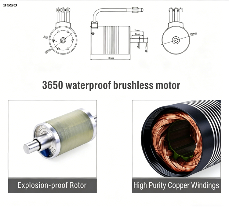 3650 4P Waterproof Brushless Motor