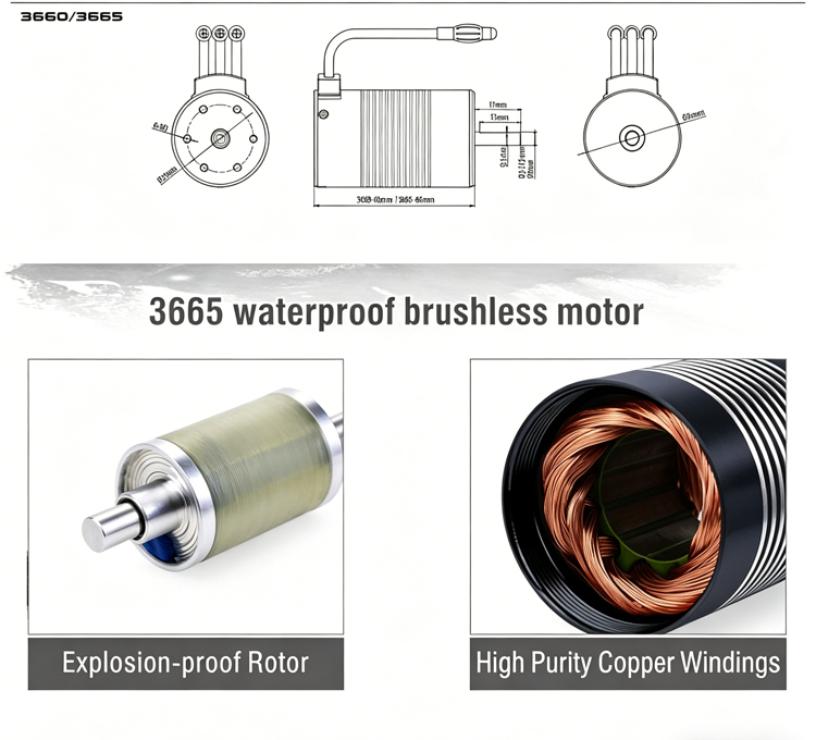 3660 4P Waterproof Brushless Motor